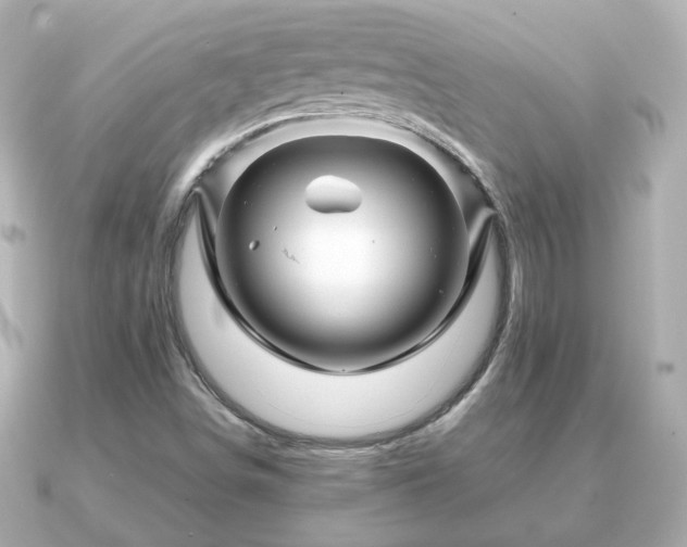 X0000090961498200708091345