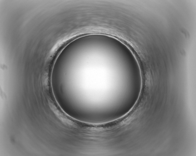 X0000090961499200708091345