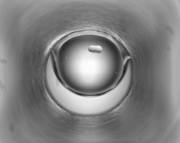 X0000090961500200708091345