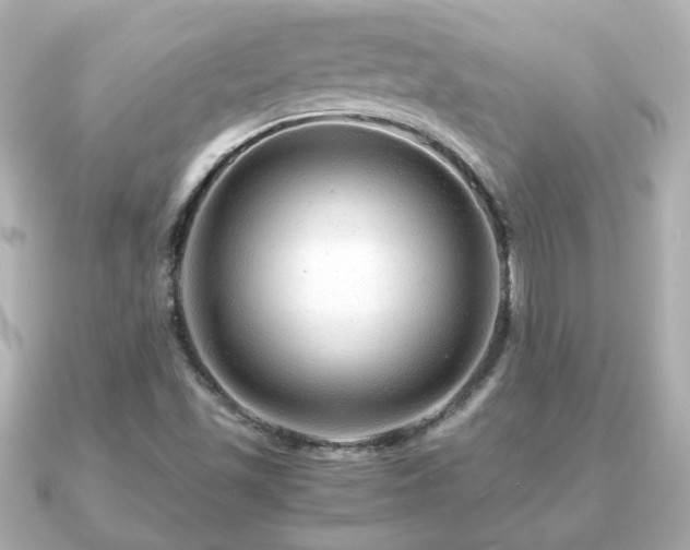 X0000090961501200708091345