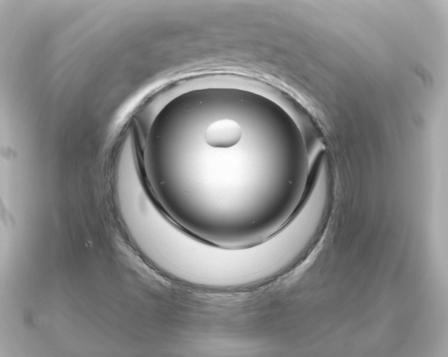 X0000090961502200708091345