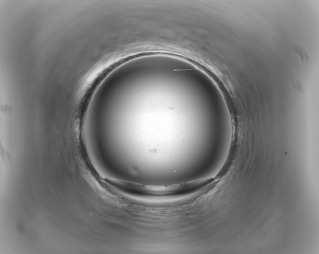 X0000090961503200708091345