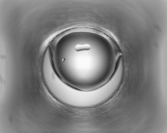 X0000090961504200708091345