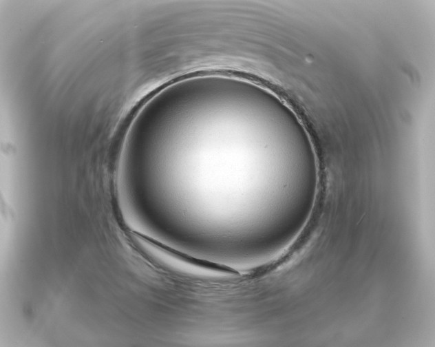 X0000090961505200708091345