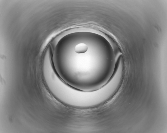 X0000090961506200708091345