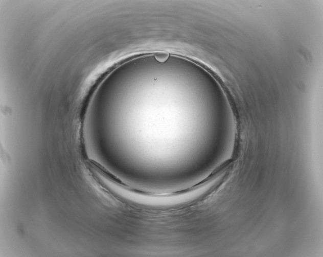 X0000090961507200708091345