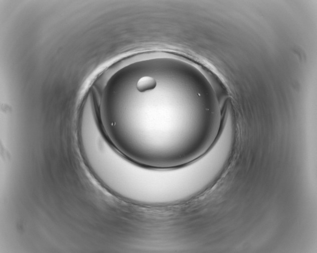 X0000090961508200708091345