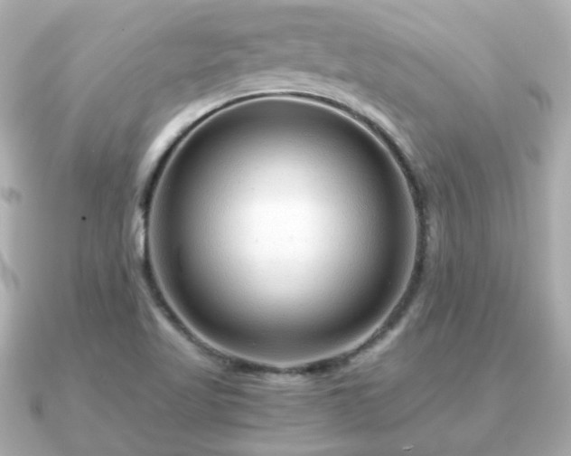 X0000090961509200708091345