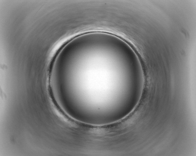 X0000090961511200708091345