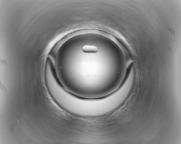 X0000090961512200708091345