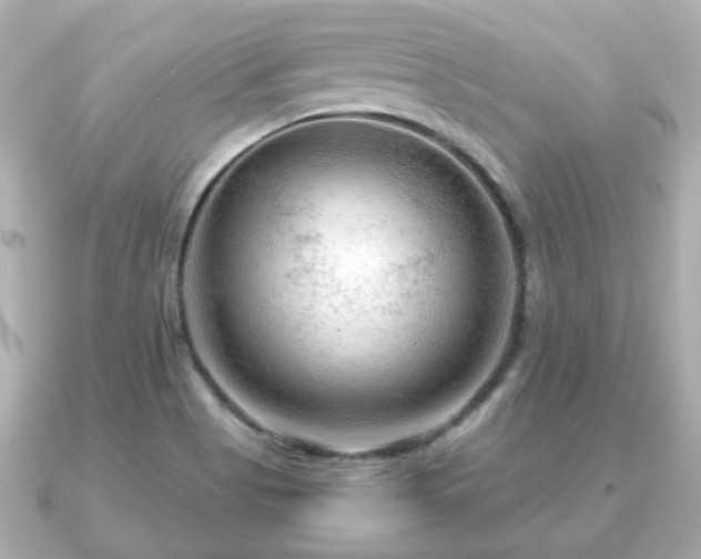 X0000090961513200708091345