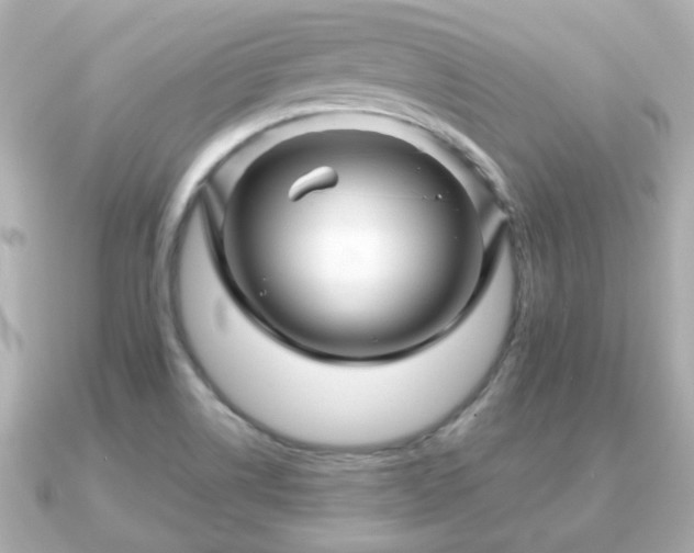 X0000090961514200708091345