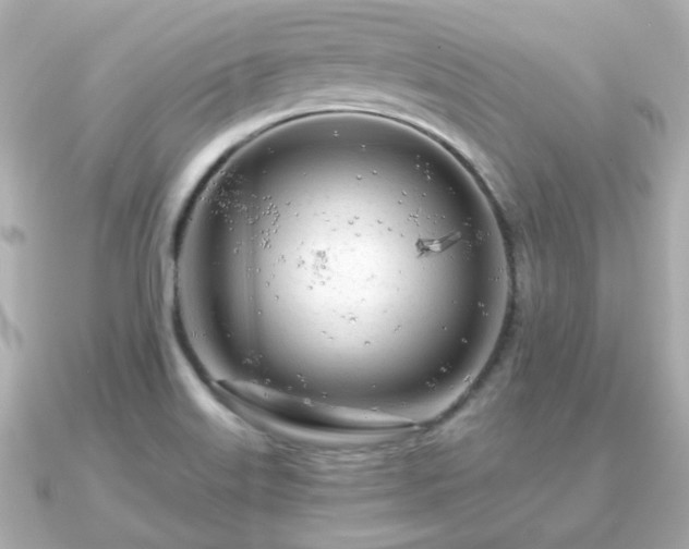 X0000090961515200708091345
