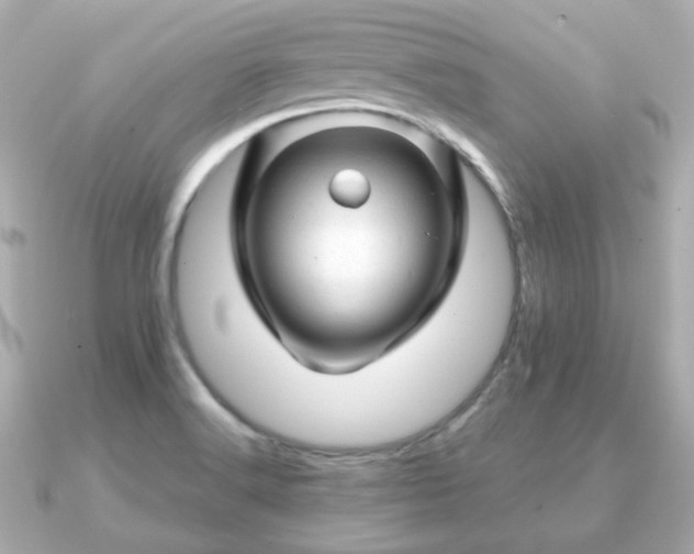 X0000090961516200708091345