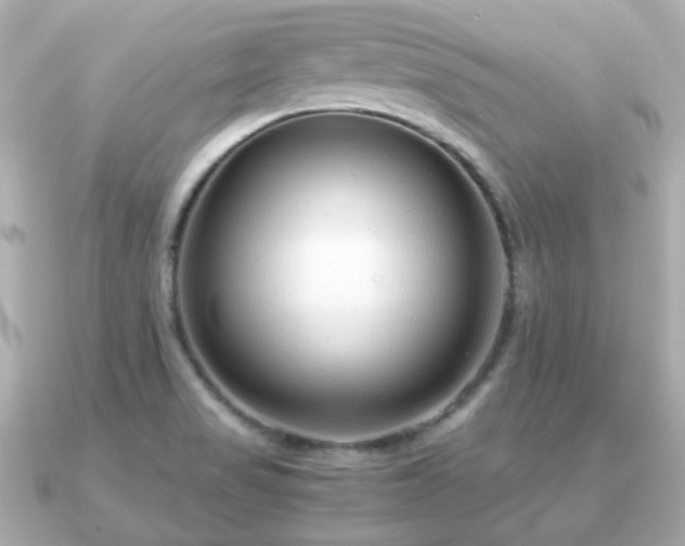 X0000090961517200708091345