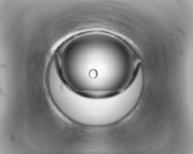 X0000090961518200708091345