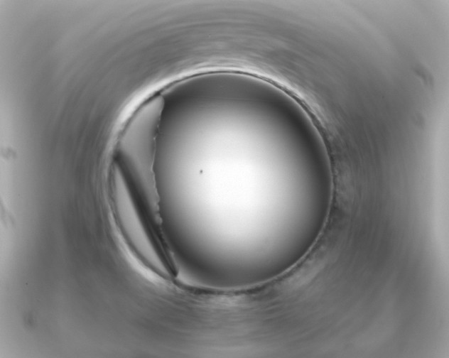X0000090961519200708091345