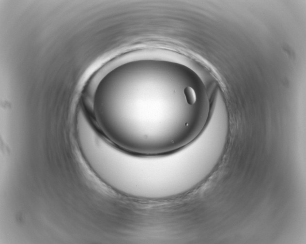 X0000090961522200708091345