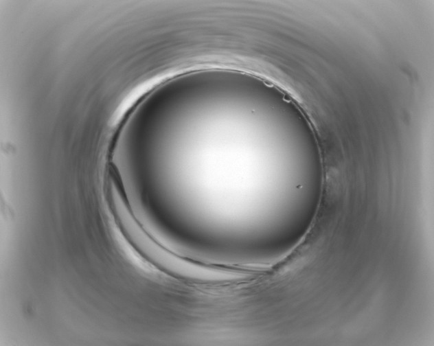X0000090961523200708091345
