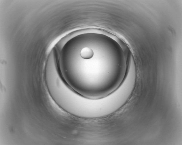X0000090961524200708091345