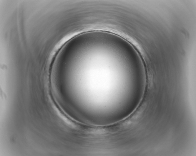 X0000090961525200708091345