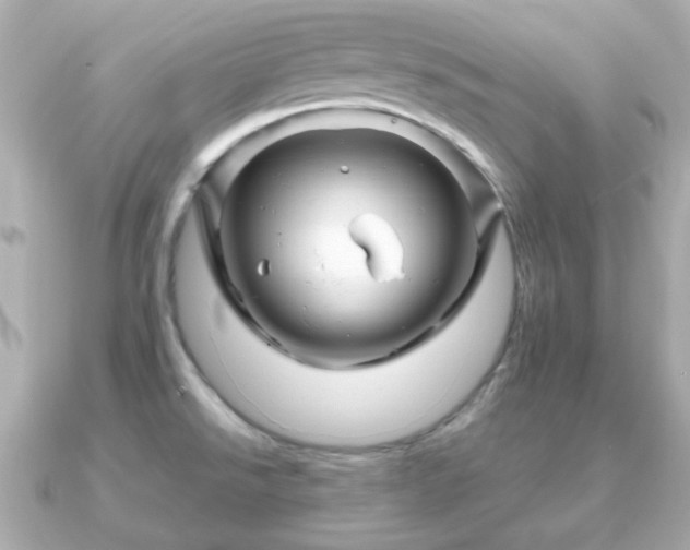X0000090961526200708091345