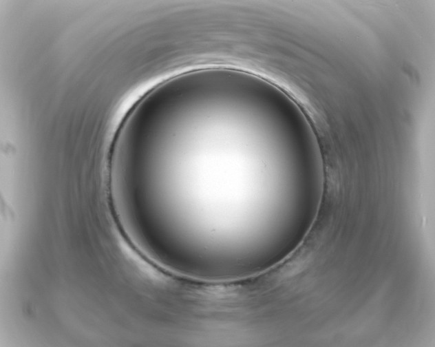 X0000090961527200708091345