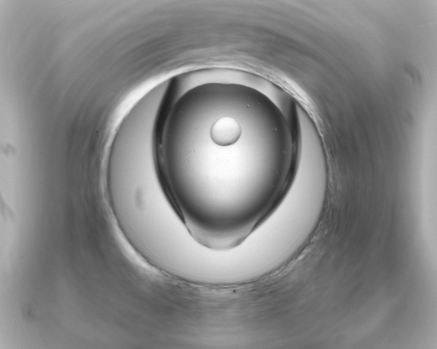 X0000090961528200708091345