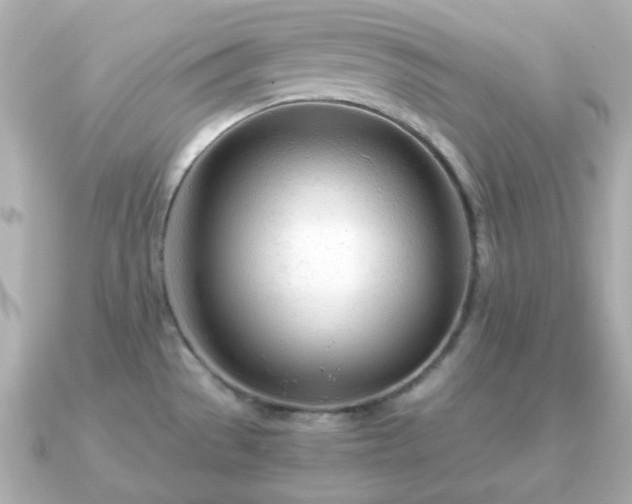 X0000090961529200708091345