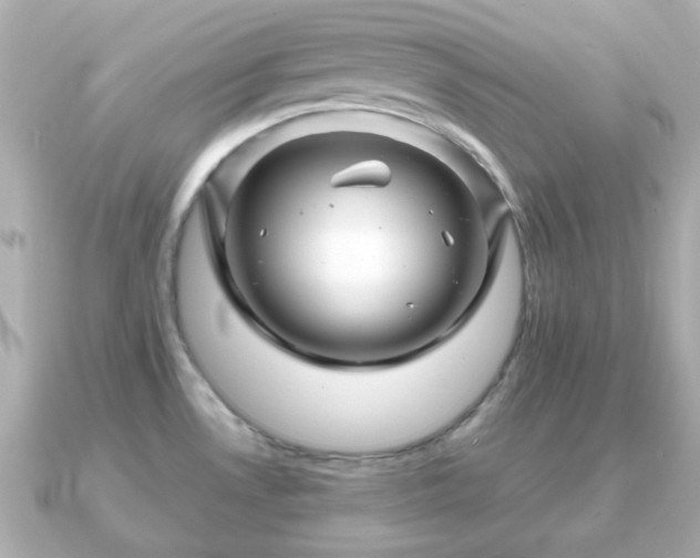 X0000090961530200708091345