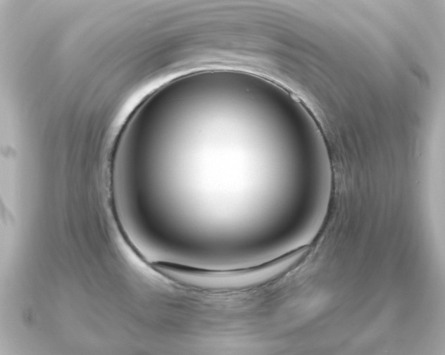 X0000090961531200708091345