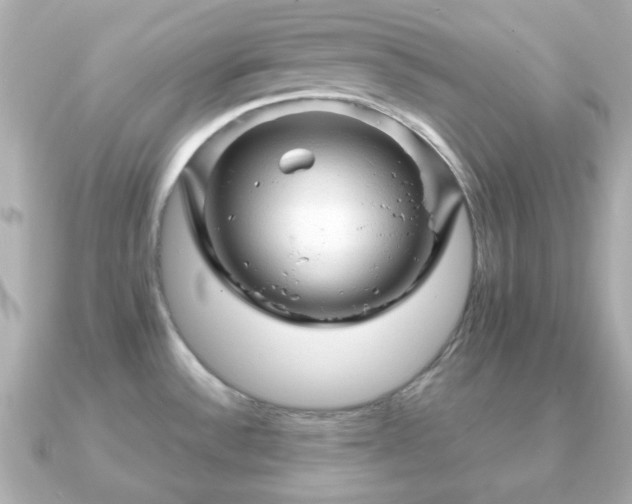 X0000090961532200708091345