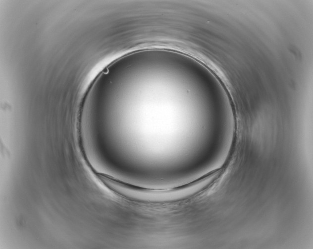X0000090961533200708091345