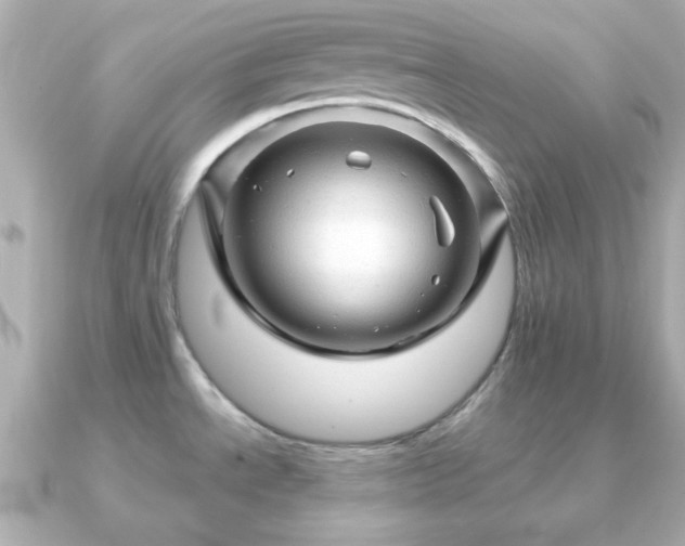 X0000090961534200708091345