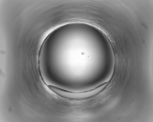 X0000090961535200708091345