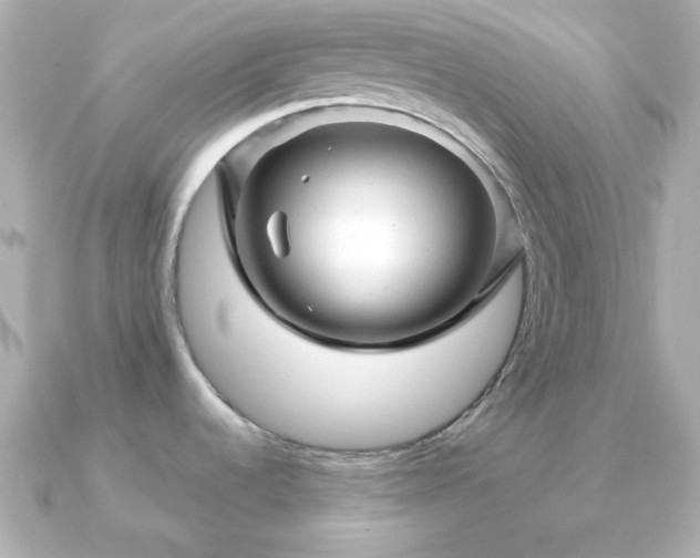 X0000090961536200708091345