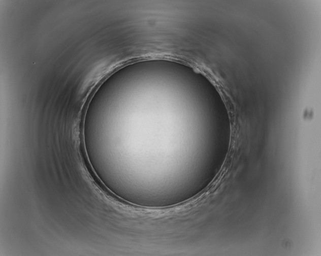 X0000090960002200708161825