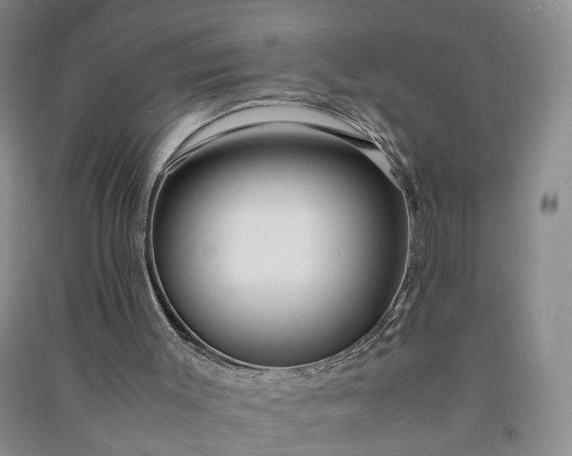 X0000090960003200708161825