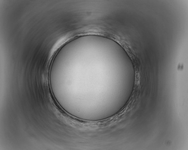 X0000090960004200708161825