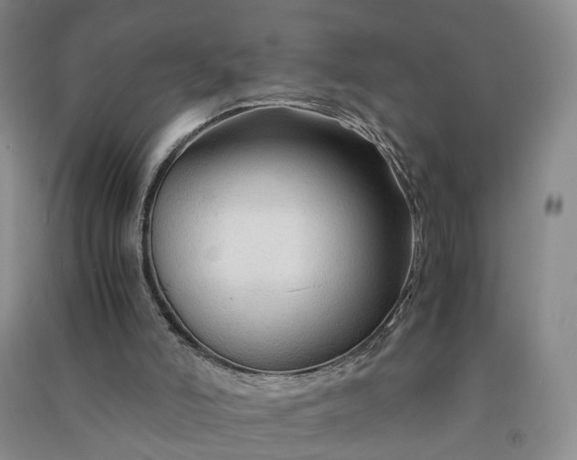 X0000090960006200708161825