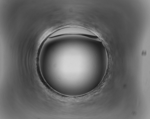 X0000090960007200708161825
