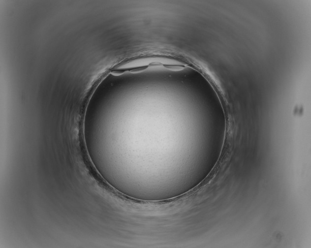 X0000090960010200708161824
