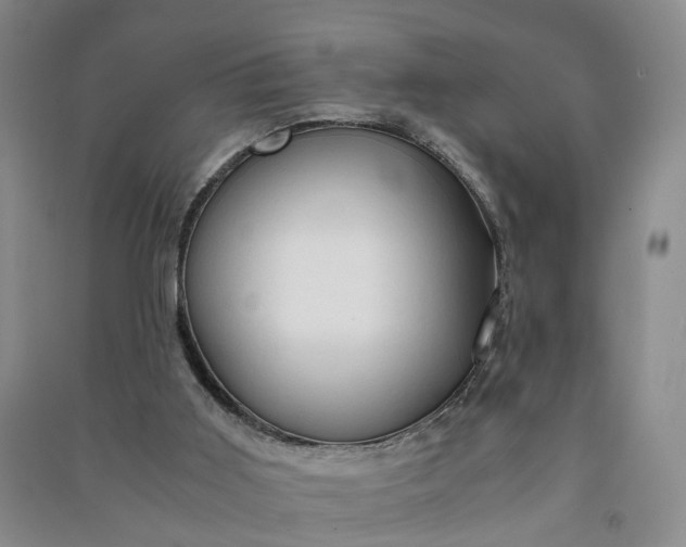 X0000090960011200708161824