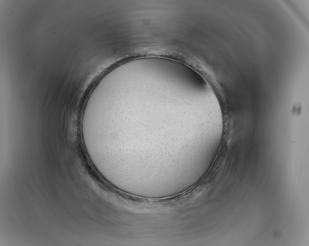 X0000090960012200708161824