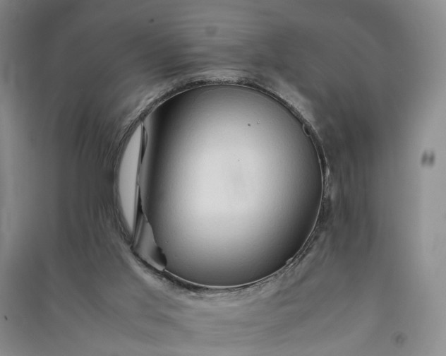 X0000090960013200708161824