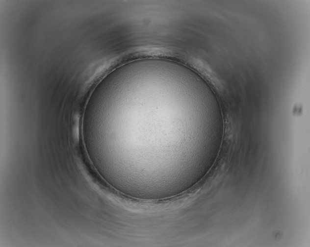 X0000090960014200708161824