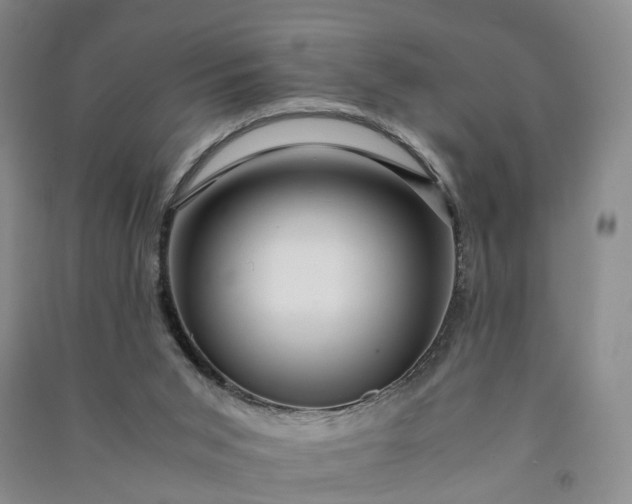 X0000090960015200708161824