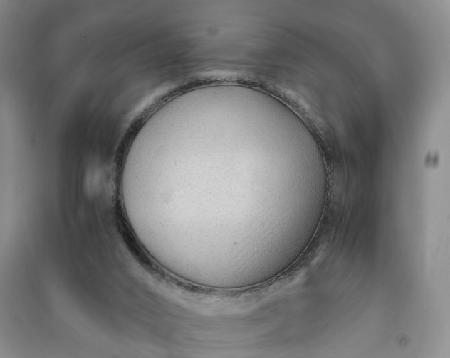 X0000090960016200708161824