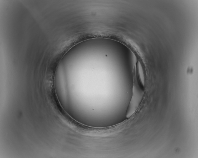 X0000090960017200708161824