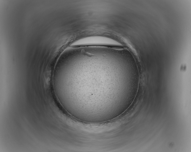 X0000090960018200708161824